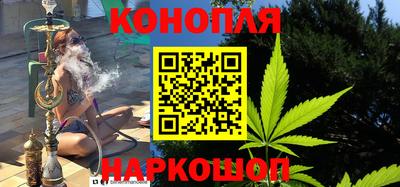 Альфа ПВП Малгобек