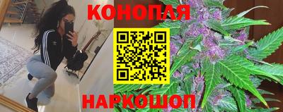 Альфа ПВП Малгобек