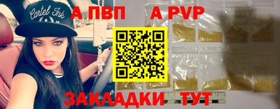 Альфа ПВП Малгобек