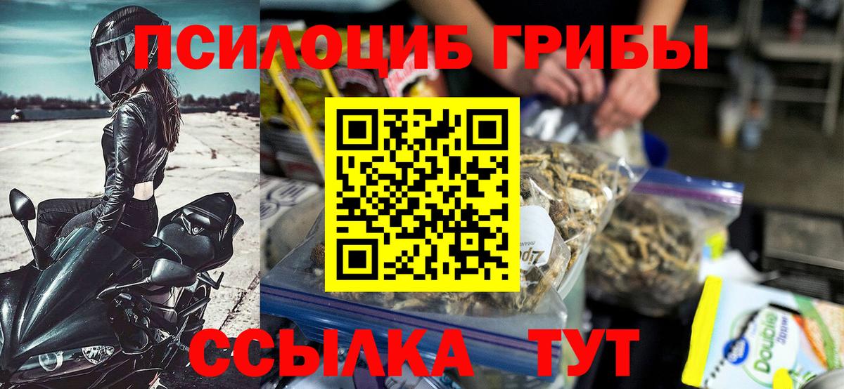 Псилоцибиновые грибы GOLDEN TEACHER Заволжье
